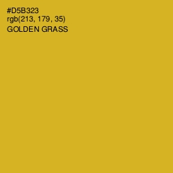 #D5B323 - Golden Grass Color Image